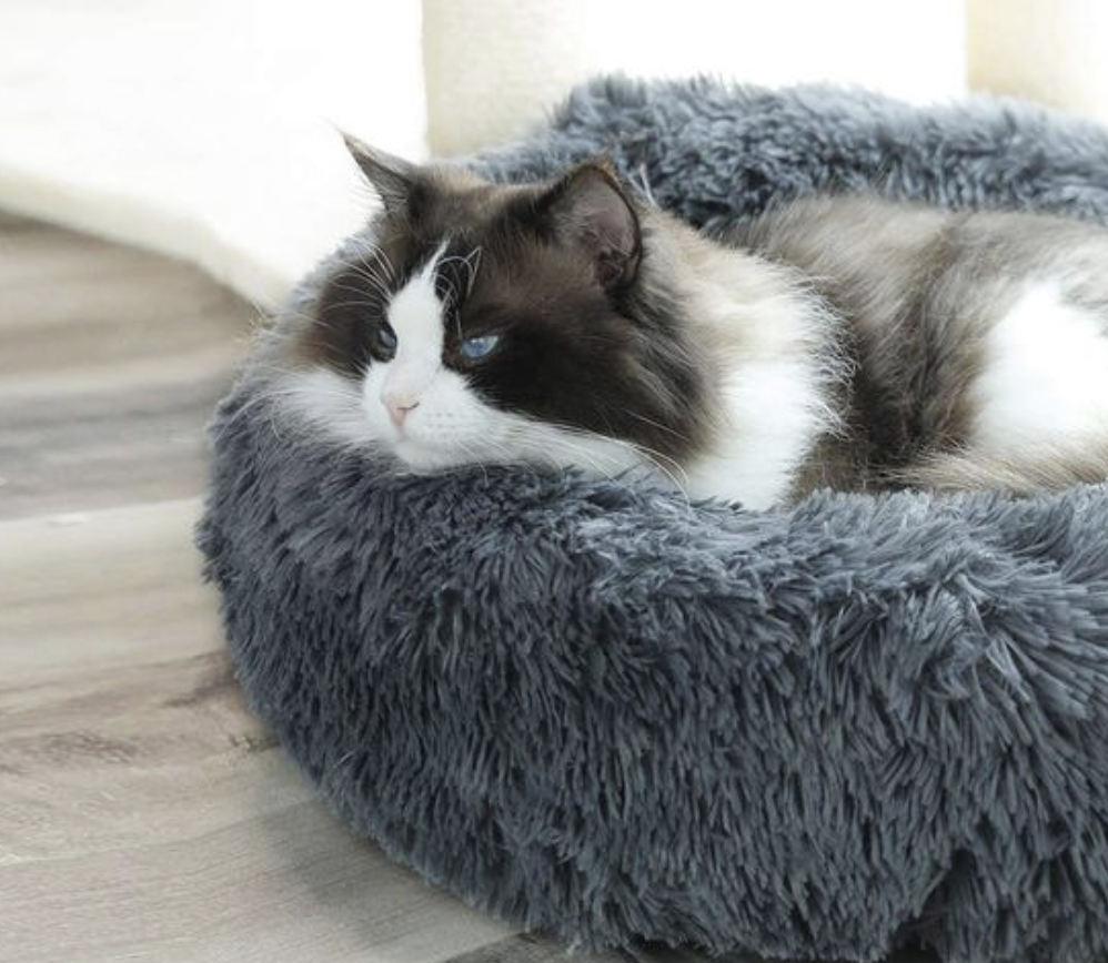 Cama confortável para Gatos